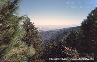 USA-California-Angeles-Crest-2004-24.jpg