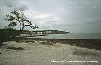 USA-California-Highway-1-200006-10.jpg