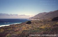 USA-California-Highway-1-2004-63.jpg