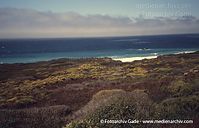 USA-California-Highway-1-2004-65.jpg