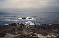 USA-California-Highway-1-2004-68.jpg