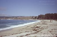 USA-California-Highway-1-2004-70.jpg