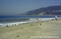 USA-California-Malibu-2006-23.jpg