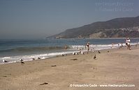 USA-California-Malibu-200609-20.jpg
