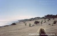 USA-California-Redondo-Beach-2004-111.jpg