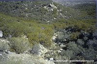 USA-California-San-Bernadino-2001-12.jpg