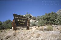 USA-California-San-Bernadino-200109-61.jpg