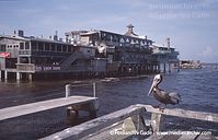 USA-Florida-Cedar-Key-200305-45.jpg