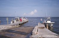 USA-Florida-Cedar-Key-200305-47.jpg