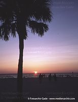 USA-Florida-Clearwater-200006-40.jpg