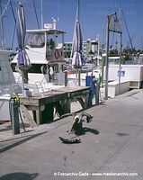 USA-Florida-Clearwater-2003-12.jpg