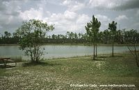 USA-Florida-Everglades-200006-28.jpg