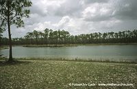 USA-Florida-Everglades-200006-29.jpg