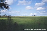 USA-Florida-Everglades-2003-42.jpg
