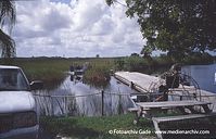 USA-Florida-Everglades-2003-48.jpg