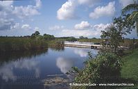 USA-Florida-Everglades-2003-50.jpg