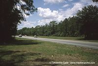 USA-Florida-Ocala-200006-32.jpg