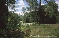 USA-Florida-Ocala-200006-33.jpg