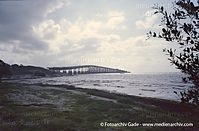 USA-Florida-Overseas-Highway-2003-221.jpg