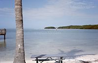 USA-Florida-Overseas-Highway-2003-231.jpg