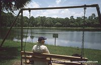 USA-Florida-Pinellas-Park-200305-29.jpg