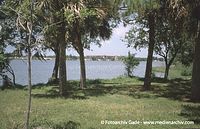 USA-Florida-Pinellas-Park-200305-30.jpg