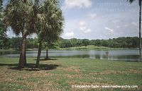 USA-Florida-Pinellas-Park-200305-31.jpg