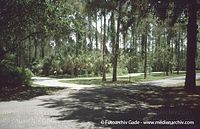 USA-Florida-Pinellas-Park-200305-32.jpg