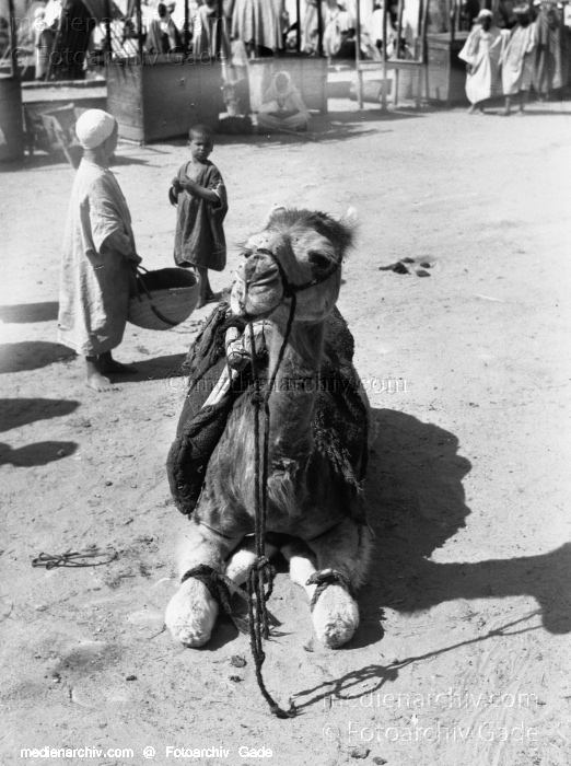 1932. Afrika
1932. Afrika.
Schlüsselwörter: 1932;Africa;Afrika