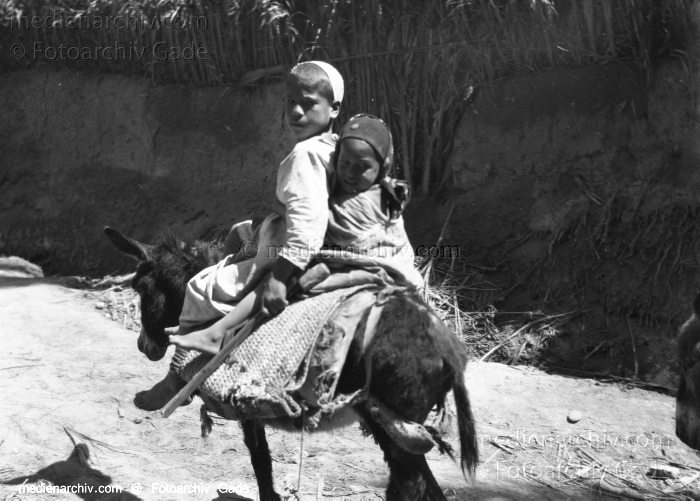 1932. Afrika
1932. Afrika.
Schlüsselwörter: 1932;Africa;Afrika