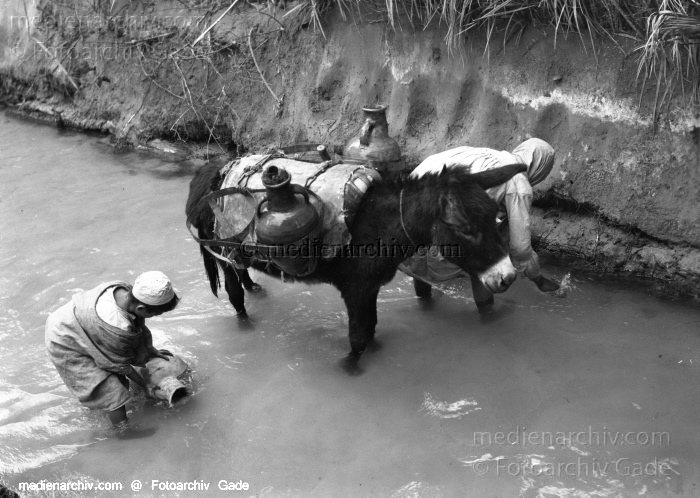 1932. Afrika
1932. Afrika.
Schlüsselwörter: 1932;Africa;Afrika