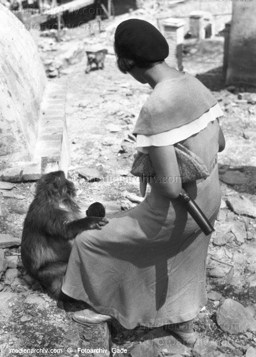 1932. Afrika. Algerien
1932. Afrika. Algerien - Africa. Algeria  - Constantine. Affen
Schlüsselwörter: 1932;Affen;Africa;Afrika;Algeria;Algerien;Algier;Algiers;Constantine