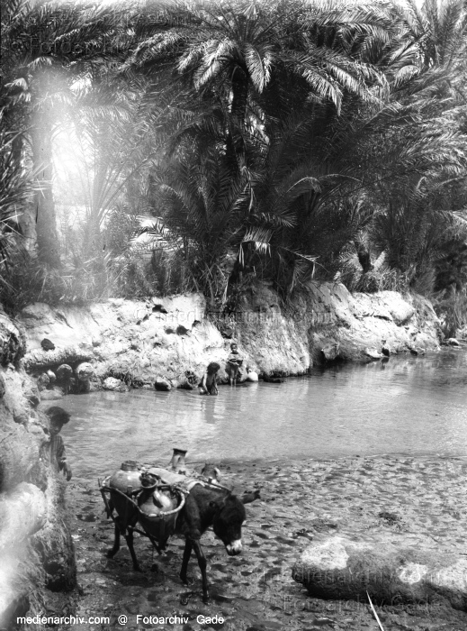 1932. Afrika. Tunesien. Tunis
1932. Afrika. Tunesien. Tunis - Africa. Tunisia - Nefta
Schlüsselwörter: 1932;Africa;Afrika;Nefta;Tunesien;Tunis;Tunisia