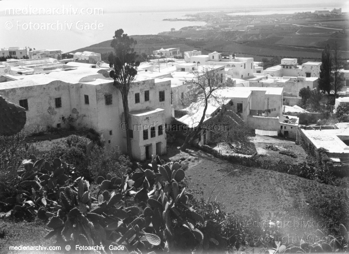 1932. Afrika. Tunesien. Tunis. Karthago
1932. Afrika. Tunesien. Tunis. Karthago - Africa. Tunisia.  Karthago. Carthage.  Sidi bou Said. Oben rechts Lac de Tunis
Schlüsselwörter: 1932;Africa;Afrika;Carthage;Karthago;Tunesien;Tunis;Tunisia