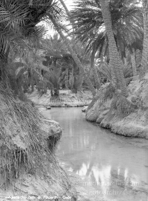1932. Afrika. Tunesien. Tunis
1932. Afrika. Tunesien. Tunis - Africa. Tunisia - Nefta
Schlüsselwörter: 1932;Africa;Afrika;Nefta;Tunesien;Tunis;Tunisia