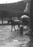 Afrika-1932-168.jpg