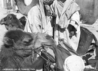 Afrika-1932-239.jpg