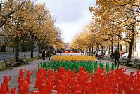 Dateiname=Berlin-Mitte-Baeren-20001101-07.jpg
Dateigröße=365KB
Abmessungen: 880x591
hinzugefügt am: 04. Januar 2016 Berlin-Mitte-Baeren-20001101-07.jpg