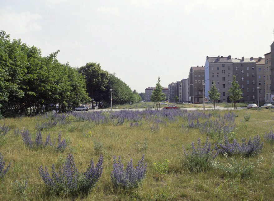 Berlin. Ehemaliger Mauerstreifen an der Bernauer Straße
18. 6. 1992. Berlin. Mitte. Ehemaliger Mauerstreifen der Berliner Mauer an der Bernauer Straße. Ehemalige Grenze zwischen Ostberlin und Westberlin.
Schlüsselwörter: Berlin;Bernauer Straße;Germany;Grenze;Mauerstreifen;1992;Mitte