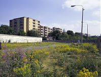 Berlin-Mitte-Bernauer-Gedenkstaette-Mauer-19920618-301.jpg