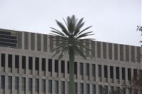 Berlin-Mitte-BND-20130112-102.jpg