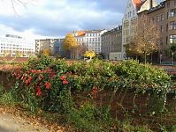 Dateiname=Berlin-Mitte-Engelbecken-20041027-29.jpg
Dateigröße=372KB
Abmessungen: 880x661
hinzugefügt am: 04. Januar 2016 Berlin-Mitte-Engelbecken-20041027-29.jpg