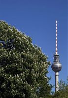 Berlin-Mitte-Monbijoupark-20070429-19.jpg