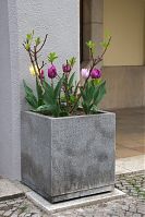 Berlin-Mitte-Nikolaiviertel-20150430-54.jpg