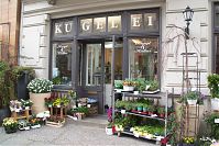 Berlin-Mitte-Nikolaiviertel-20150430-59.jpg