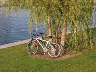 Dateiname=Berlin-Mitte-Ludwig-Erhard-Ufer-20040801-64.jpg
Dateigröße=415KB
Abmessungen: 880x661
hinzugefügt am: 04. Januar 2016 Berlin-Mitte-Ludwig-Erhard-Ufer-20040801-64.jpg