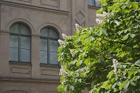 Dateiname=Berlin-Mitte-Oranienburger-20150511-34.jpg
Dateigröße=261KB
Abmessungen: 880x586
hinzugefügt am: 04. Januar 2016 Berlin-Mitte-Oranienburger-20150511-34.jpg