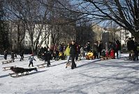 Berlin-Mitte-Weinberg-200001-33.jpg