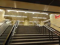 Berlin-Charlottenburg-Zoo-20111120-108.jpg