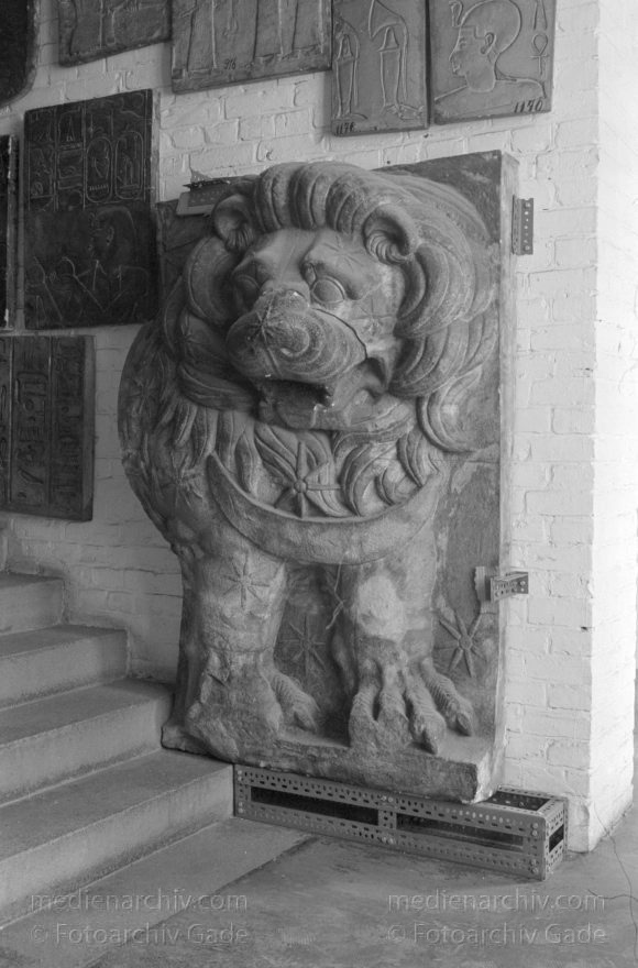 Berlin. Charlottenburg. Gipsformerei
September 1990. Berlin. Charlottenburg. Gipsformerei. Skulpturen. Formen in Regalen. Magazin.
Schlüsselwörter: Berlin;Charlottenburg;Deutschland;Germany;Gipsformerei;Museen;Museum;1990;Werkstatt